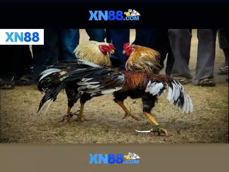 💎duniawin slot💎 💎duniawin slot💎