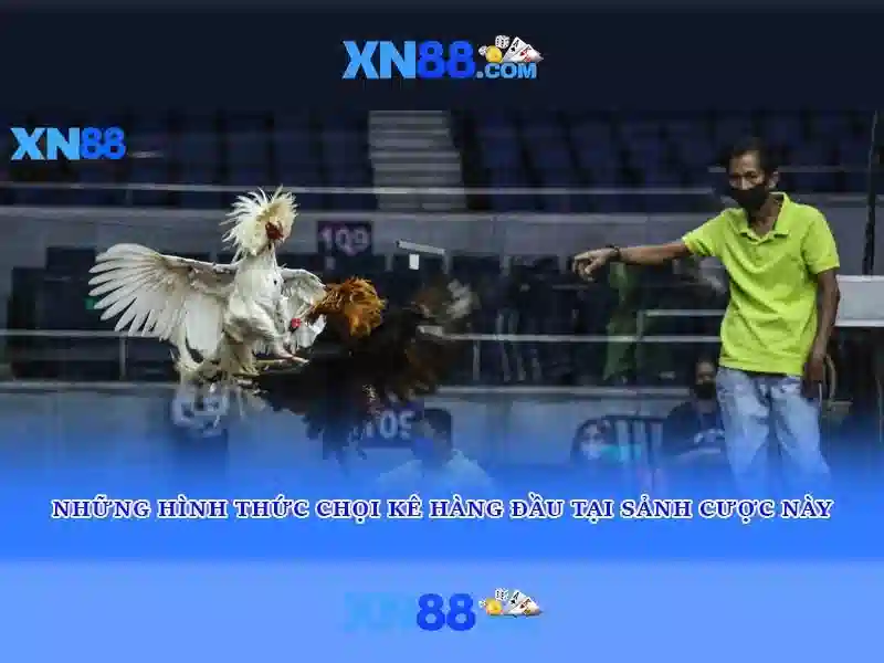 💎cuộc thi bố là tất cả 2020💎 💎cuộc thi bố là tất cả 2020💎