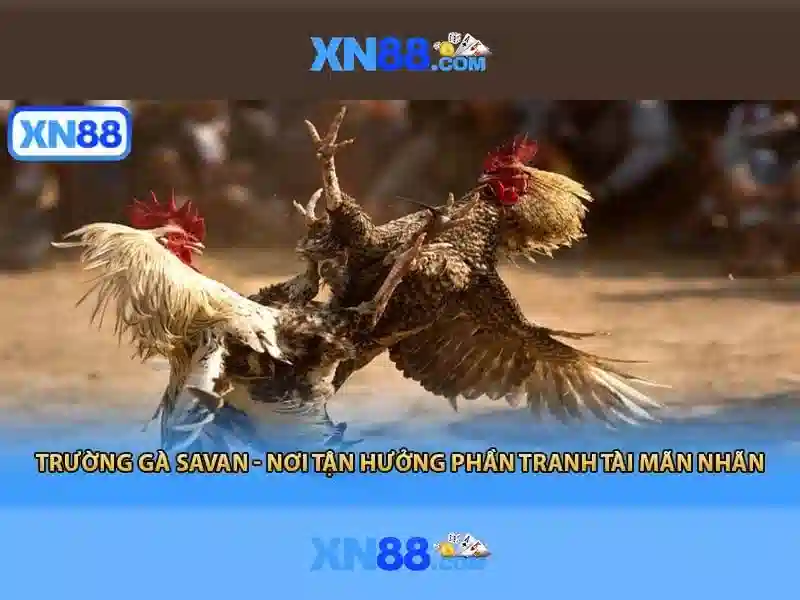 💎7 accessory slots terraria💎 💎7 accessory slots terraria💎