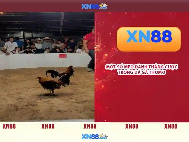 💎house of fun slots casino similar games💎 💎house of fun slots casino similar games💎