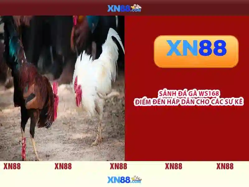 💎đánh bạc bao nhiêu tiền thì khởi tố💎 💎đánh bạc bao nhiêu tiền thì khởi tố💎