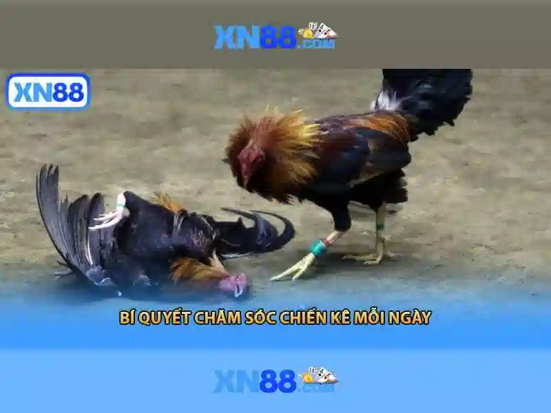 💎android slots city💎 💎android slots city💎