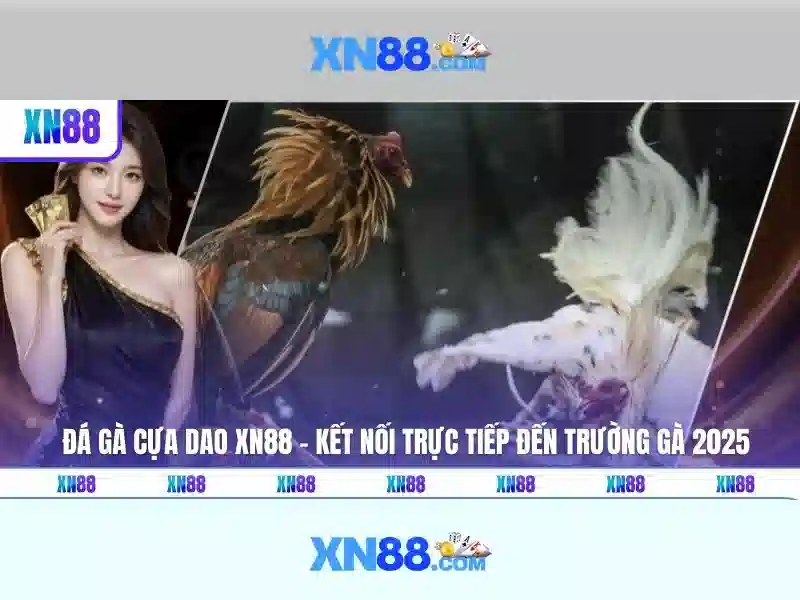💎kèo nhà cái bóng đá nữ thế giới💎 💎kèo nhà cái bóng đá nữ thế giới💎