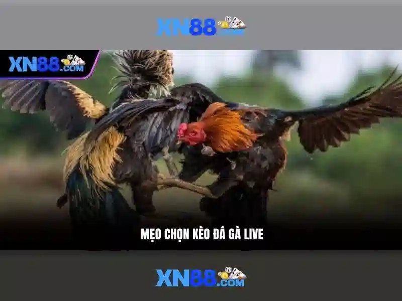 💎bác hồ đánh trống khai giảng💎 💎bác hồ đánh trống khai giảng💎