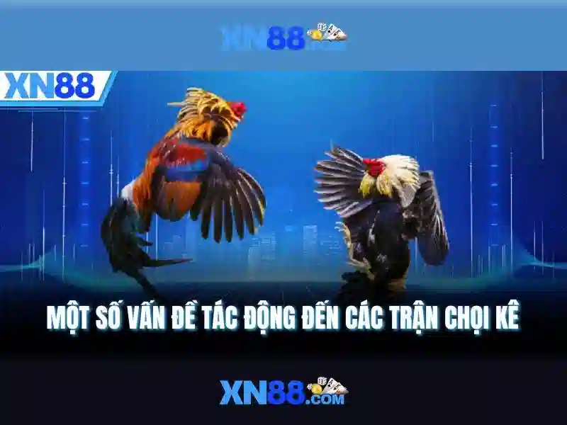 💎python __slots__ performance💎 💎python __slots__ performance💎