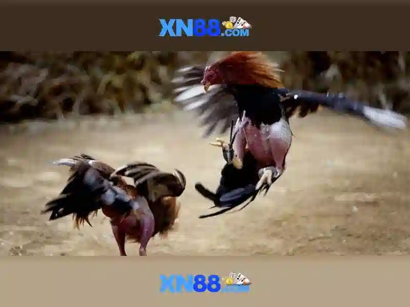 💎esd pcb assembly rack slots💎 💎esd pcb assembly rack slots💎