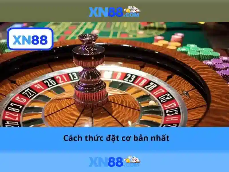 💎card holder with lots of slots💎 💎card holder with lots of slots💎