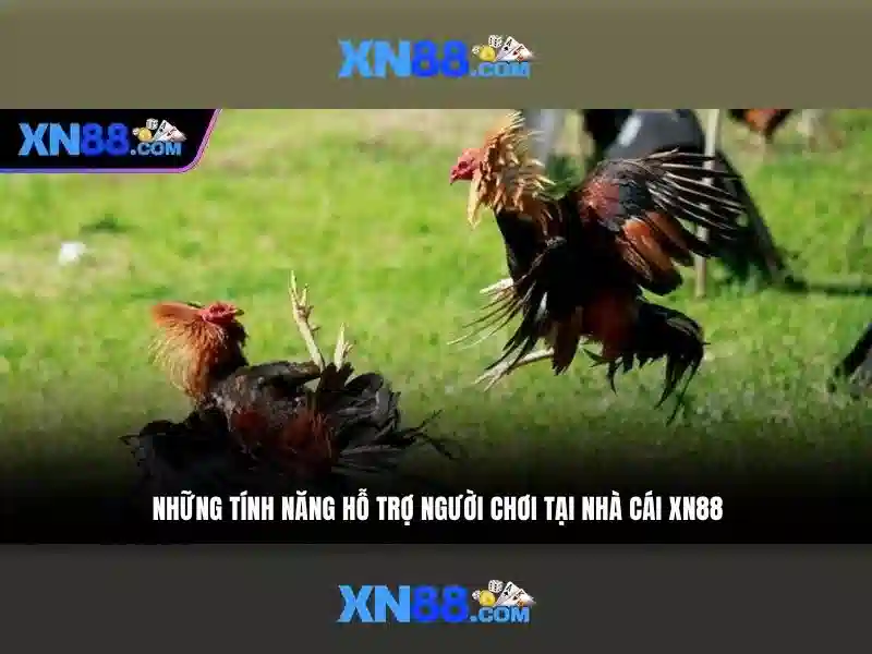 💎nuxt layout slot💎 💎nuxt layout slot💎