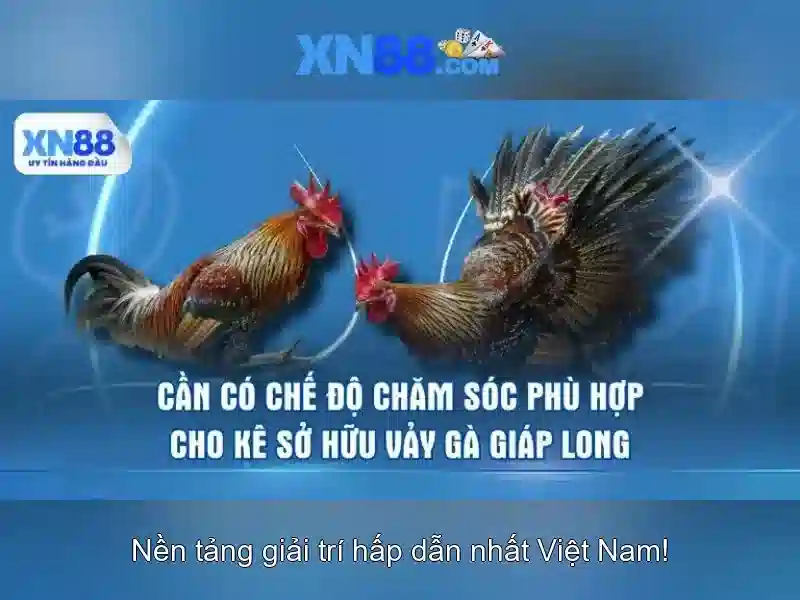 💎bắt đánh bạc online💎 💎bắt đánh bạc online💎