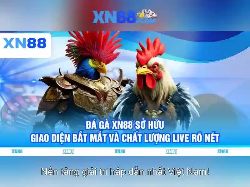 💎xn88 haarden💎 💎xn88 haarden💎