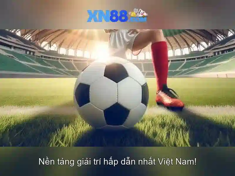 💎xn88 hardener💎 💎xn88 hardener💎