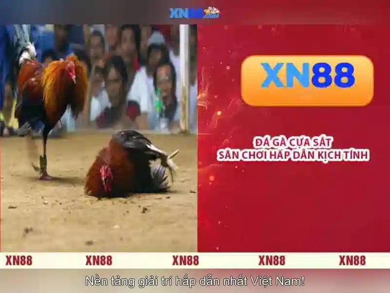 💎cách cài đặt định danh mức 2 tại nhà💎 💎cách cài đặt định danh mức 2 tại nhà💎