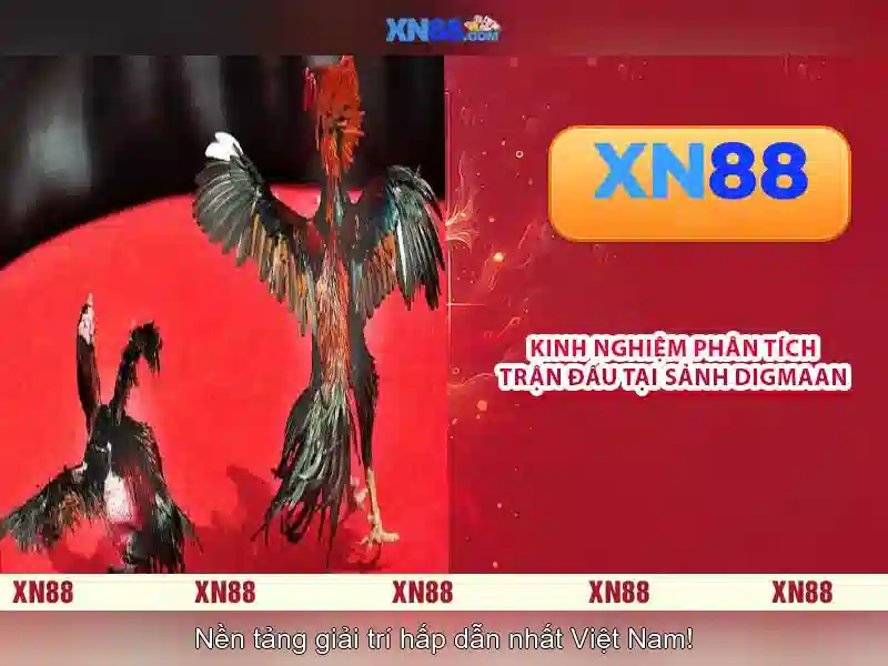 💎free play slot machine online💎 💎free play slot machine online💎