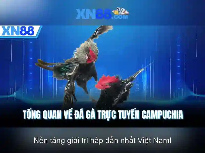 💎bsport bet nhà cái thể thao💎 💎bsport bet nhà cái thể thao💎