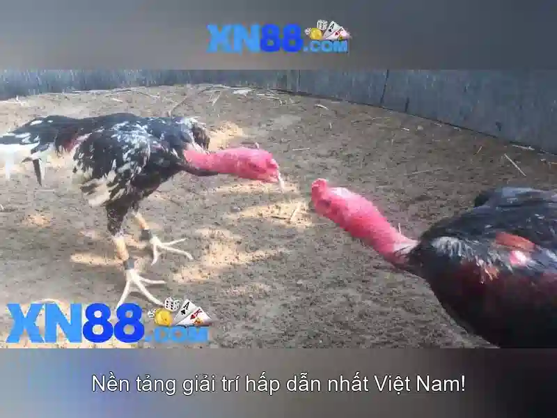 💎new free slots 2021💎 💎new free slots 2021💎