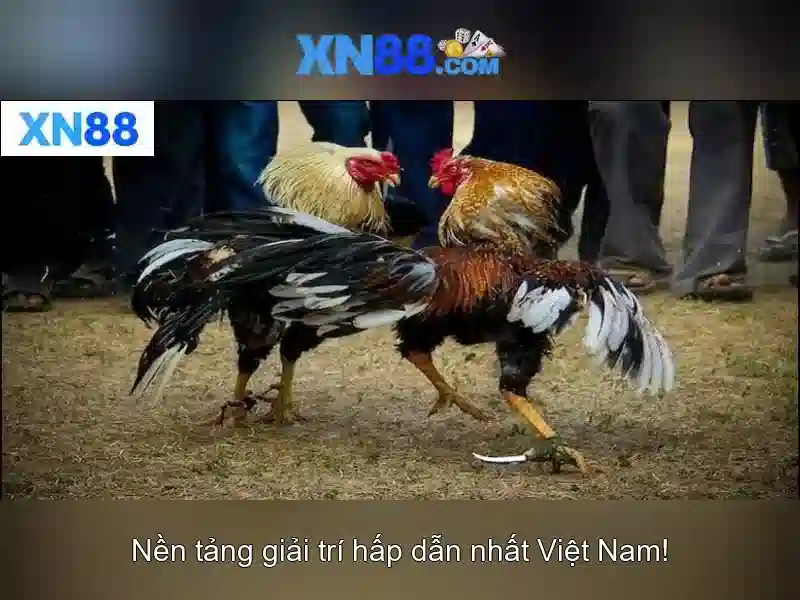 💎5 reel slots for free uk💎 💎5 reel slots for free uk💎