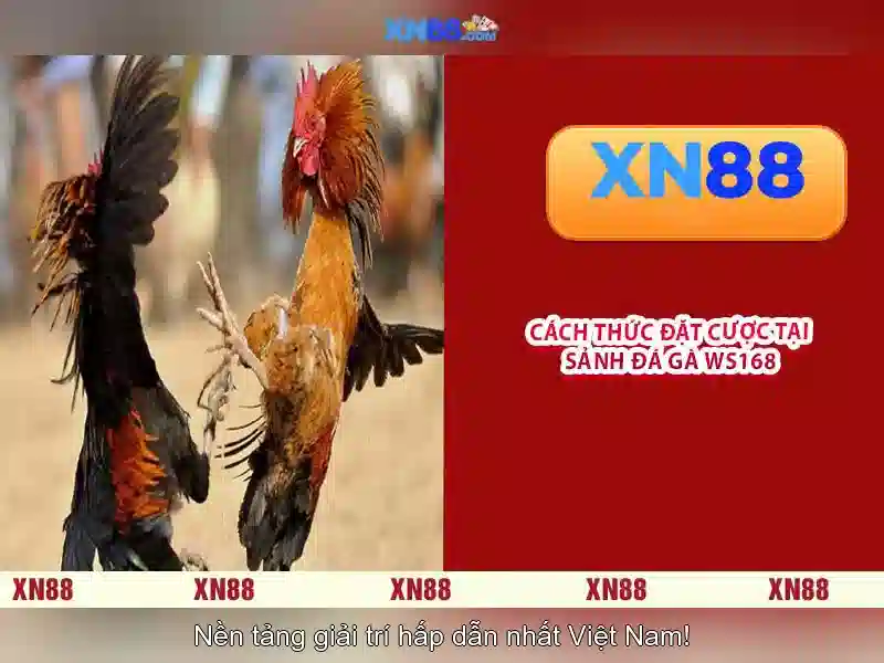 💎mayfair slots review💎 💎mayfair slots review💎