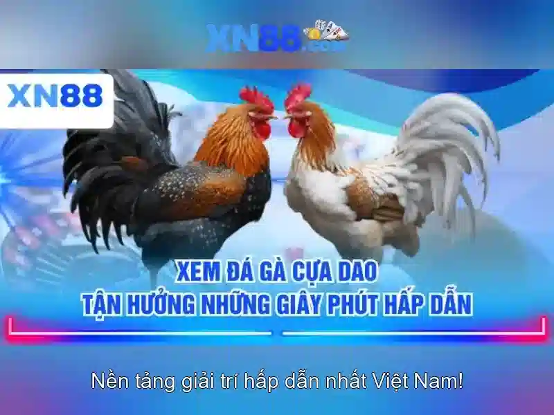 💎video kèo nhà cái💎 💎video kèo nhà cái💎